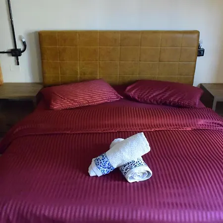 D1 & Guest house Tirana